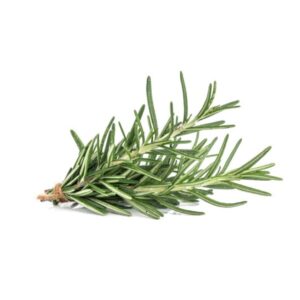 Rosemary